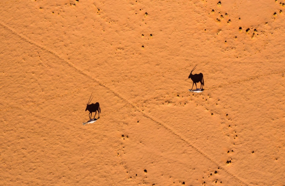 Soar above Sossusvlei AndBeyond Sossusvlei Desert Lodge